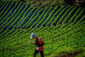 BIB: 
                            <button type="button" onclick="openModal(19160854)" class="btn btn-primary btn-sm float-right btn-popup" data-toggle="modal" data-target=".modal-high-quality">
                        <i class="fas fa-shopping-cart"></i> Add to Cart
                    </button>
                                            <button type="button" onclick="isThisMe(19160854, true)" class="btn btn-success btn-sm float-right btn-popup btn-isme hidden" data-toggle="tooltip" data-placement="bottom" title="นี่คือรูปของคุณใช่ไหม คลิกที่นี่เพื่อเอาเข้าอัลบั้ม">
                        <i class="fas fa-plus"></i> Add to album
                    </button>
                    <button type="button" onclick="isThisMe(19160854, false)" class="btn btn-warning btn-sm float-right btn-popup btn-isnotme hidden">
                        <i class="fas fa-ban"></i> Remove from album
                    </button>